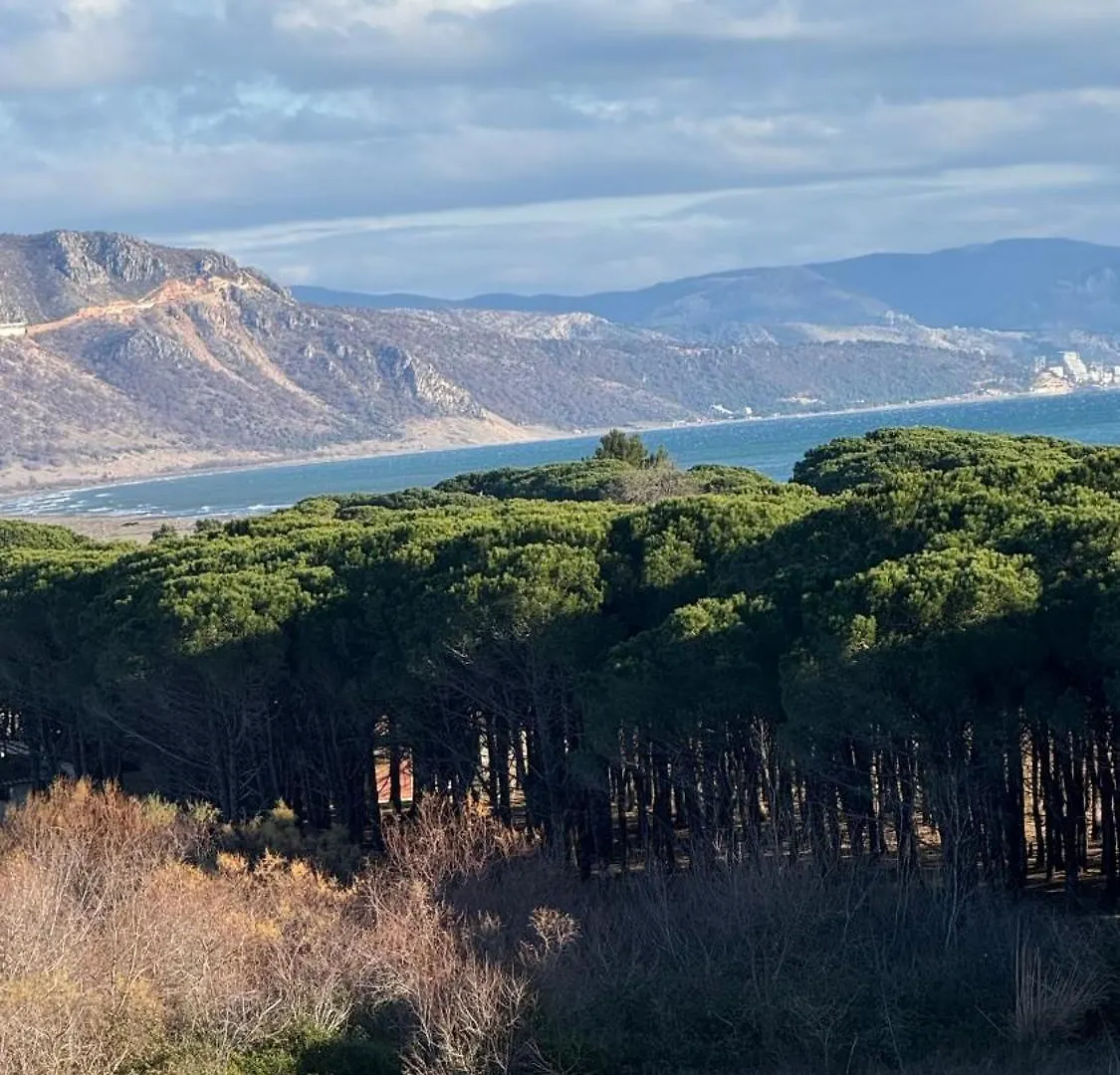 Apartamenti 41 Velipojë